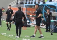 关于德国队不断突破！，Rookie连续七场比赛得分超过大比分获胜引发球迷热议的信息-开云APP